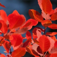 Colors in Rustrel - France