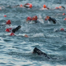 Swimming Triathlon Marseille M-L Distances - France