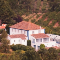 Big Mansion & Property - Obidos - Portugal