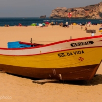 Sol Da Vida - Nazaré - Portugal