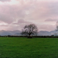 Hazel Fort Farm - Killarney - Ireland
