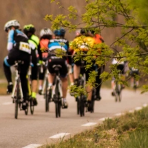 Raid des Alpilles - Peloton Femmes - Barbegal - France