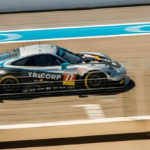 Dempsey Proton Racing - Porsche 911 RSR - N°77 - Circuit Paul Ricard - Le Castellet - France