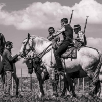 Les Guardians - Manade Fabre - St Martin de Crau - France