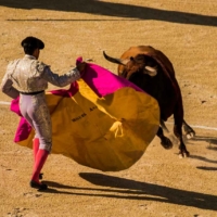 A la cincos de la tarde 2 - Feria du Riz - Arles - France