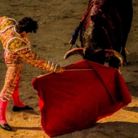 A la cincos de la tarde 6 - Feria du Riz - Arles - France