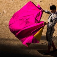 A la cincos de la tarde - Feria du Riz - Arles - France