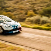 Peugeot 206 Maxi N°21- André - Burzio - Les Baïsses - Rallye du Mistral - France