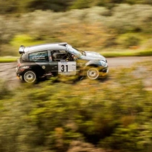 Renault Clio - N°31 - Pollina - Basso - Les Baïsses - Rallye du Mistral - France