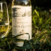 Vin blanc moelleux - St Martin de Crau - France_