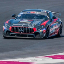 Mercedes AMG N°15 -International-GT-Open - Circuit-Paul-Ricard - France -2