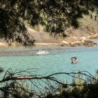 Plage de l'Arène - Cassis - France